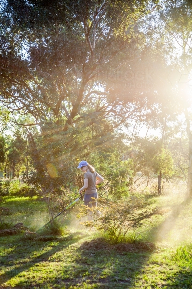 Teen girl cutting grass with whipper snipper in golden afternoon light - Australian Stock Image