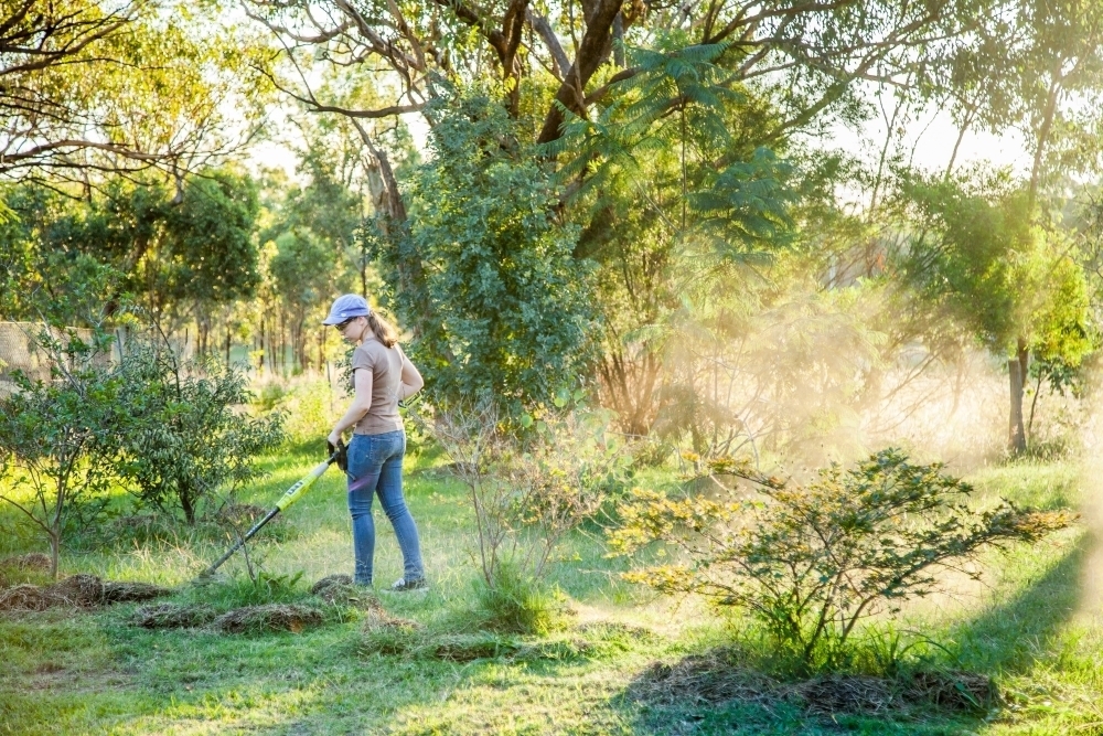 Teen girl cutting grass with whipper snipper in golden afternoon light - Australian Stock Image