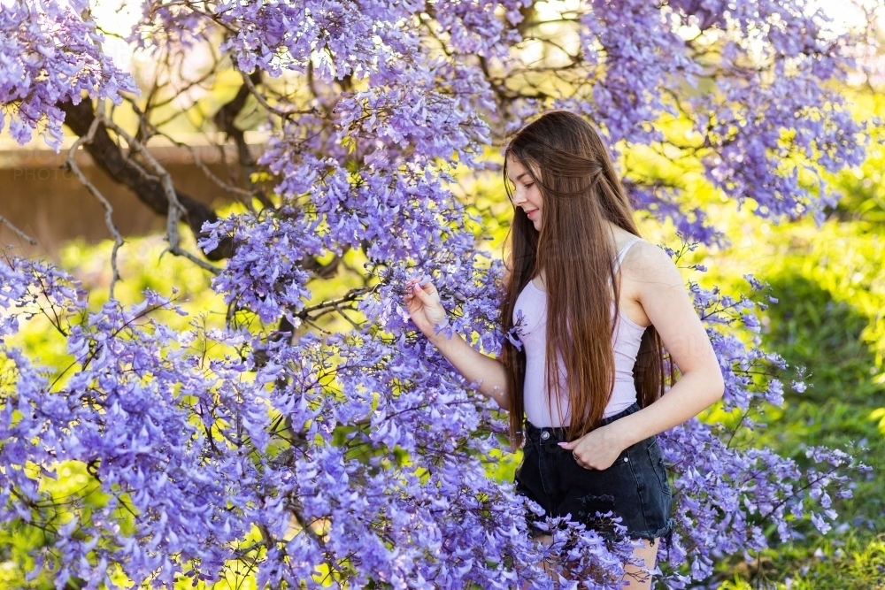 Teen girl standing amongst purple jacaranda flowers looking away - Australian Stock Image