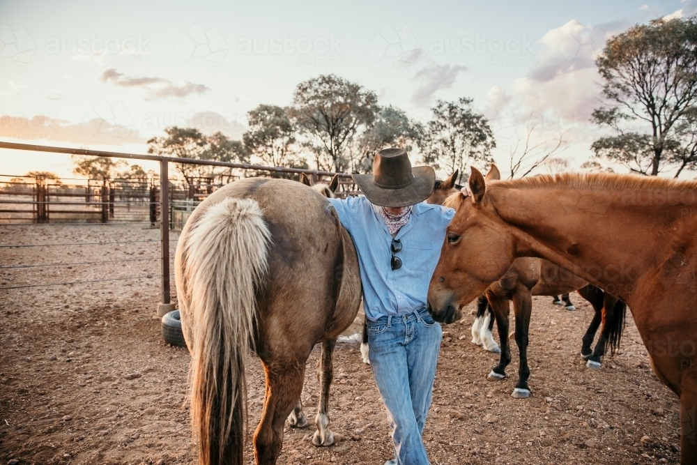 Teenage girl standing between horses looking down - Australian Stock Image