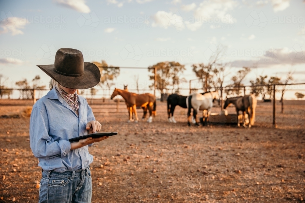 Teenage girl using iPad standing next to horses in a yard - Australian Stock Image