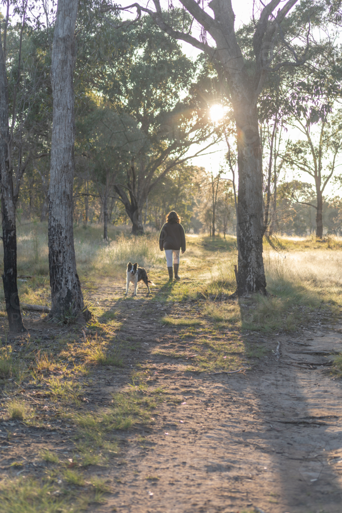 Teenage girl walking with her dog along a bush path in the morning - Australian Stock Image