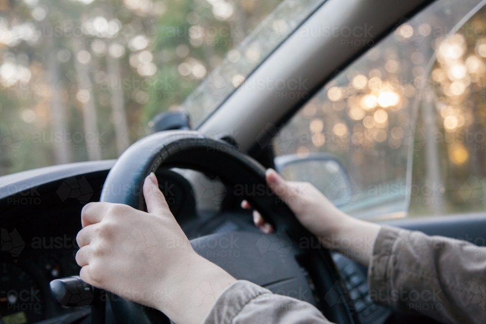 Teenage p1 driver with hands on steering wheel driving car - Australian Stock Image