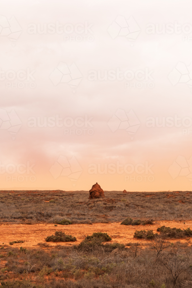 Termite mound in the red dirt of the Pilbara with a orange sky from a dust storm - Australian Stock Image