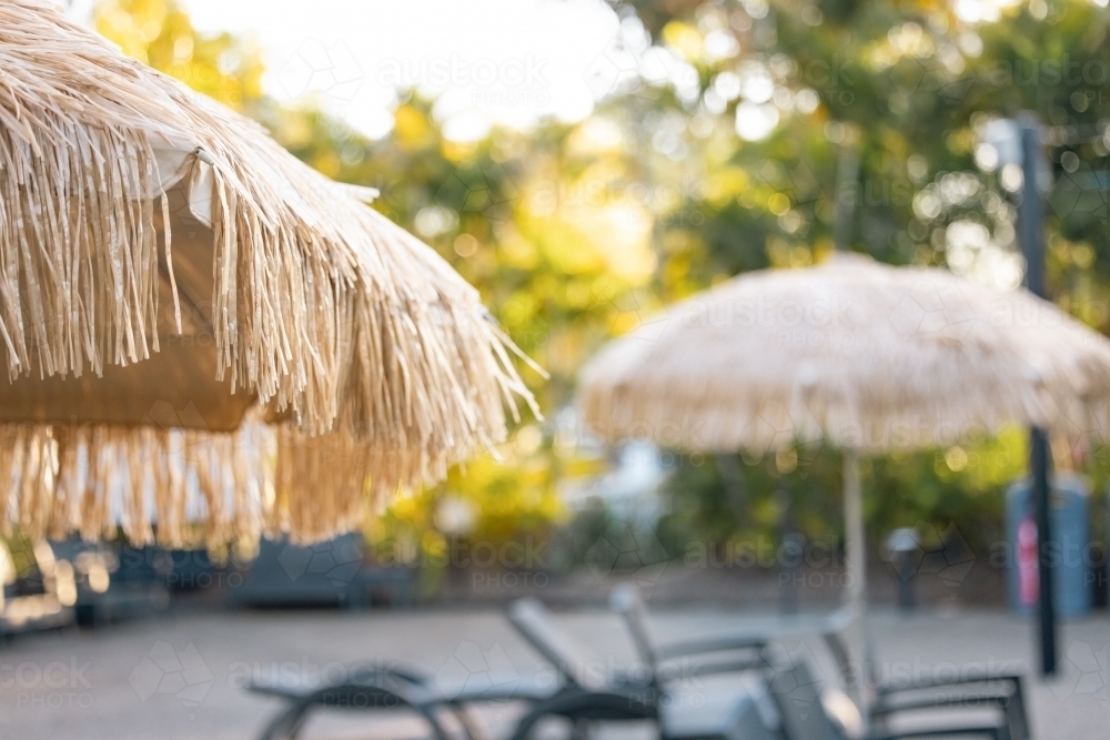 Image Of Thatched Beach Umbrellas At Tropical Resort Austockphoto