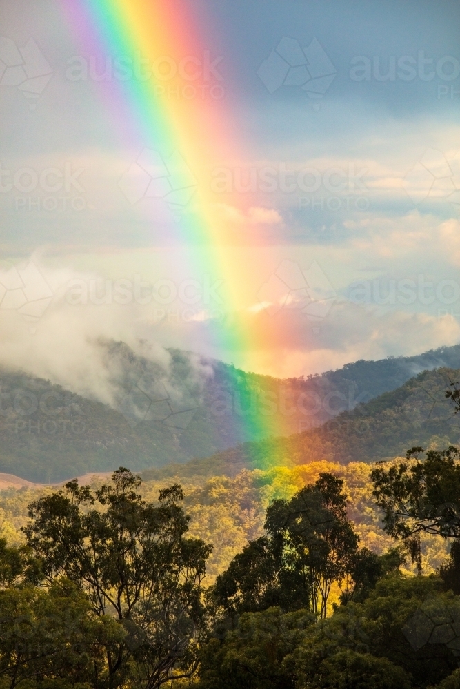 The colourful end part of a rainbow reaching down to the ground amongst eucalyptus forest - Australian Stock Image