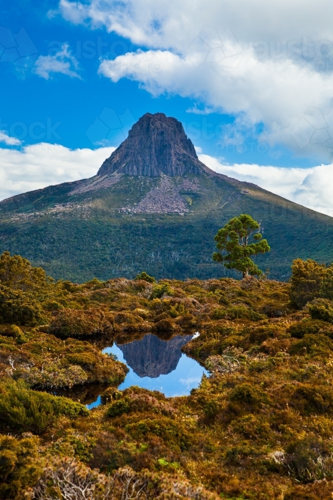 The craggy peak of Barn Bluff reflected in a small tarn along the Overland Track. - Australian Stock Image