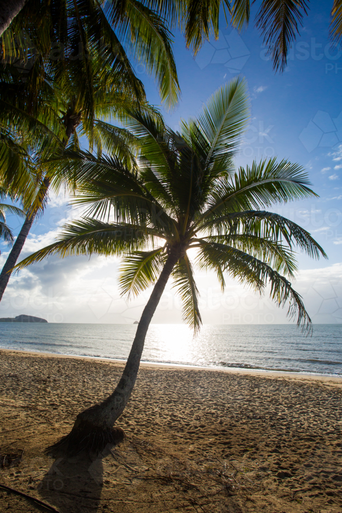 The famous idyllic beachfront of Palm Cove on a winter's day in Queensland, Australia - Australian Stock Image