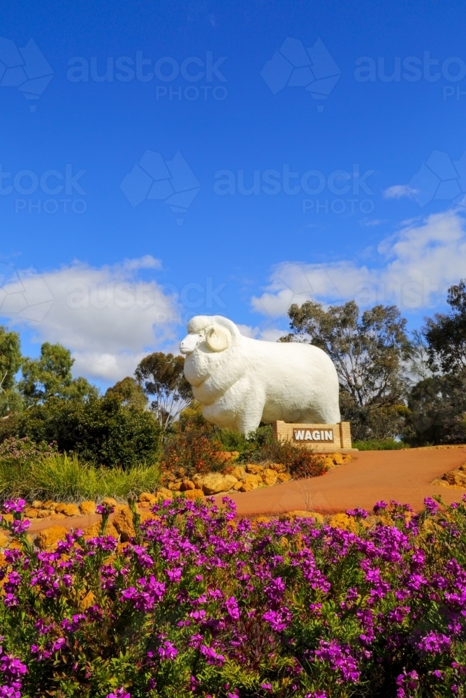 The Giant Ram at Wagin, WA - Australian Stock Image