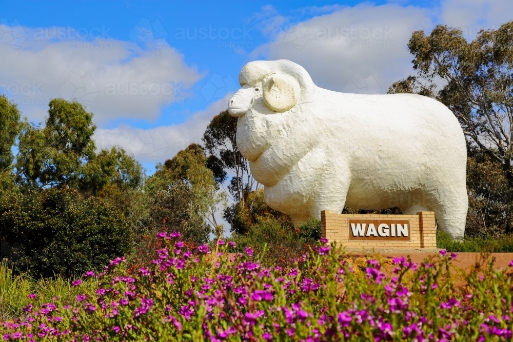 The Giant Ram at Wagin, WA - Australian Stock Image