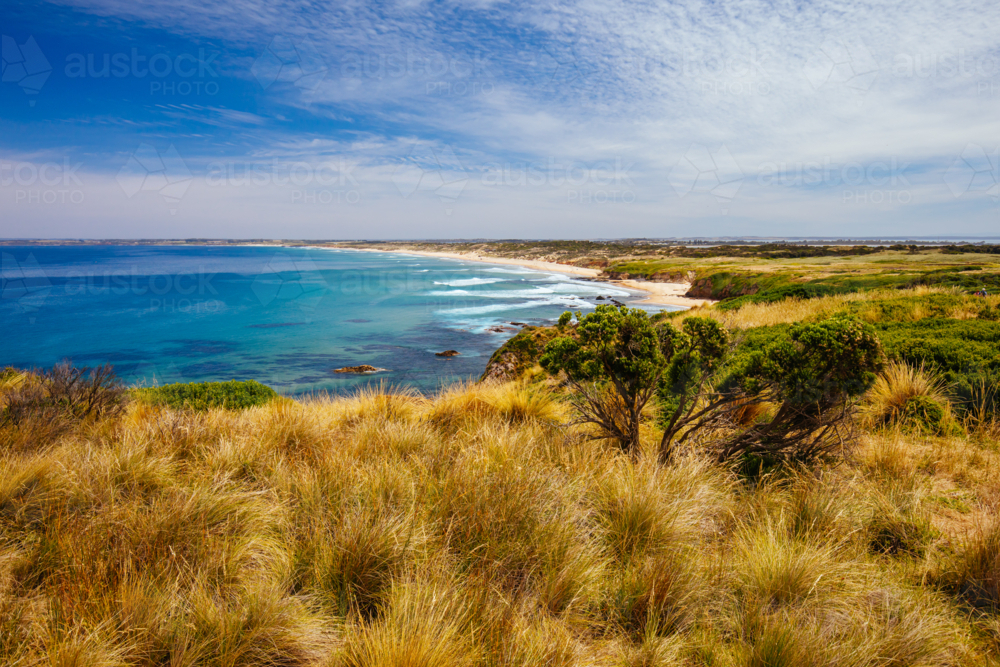 The iconic Cape Woolamai Surf Beach and Cowrie Patch Beach from Pinnacles Lookout on Phillip Island, - Australian Stock Image