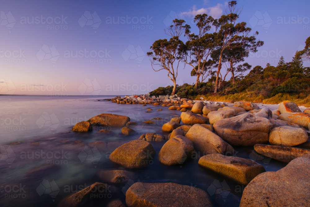 The lichen covered rocks at sunset in the Bay of Fires at Binalong Bay, Australia - Australian Stock Image