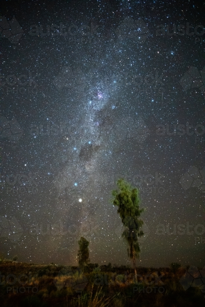 The Milky Way with two small desert trees in the foreground - Australian Stock Image