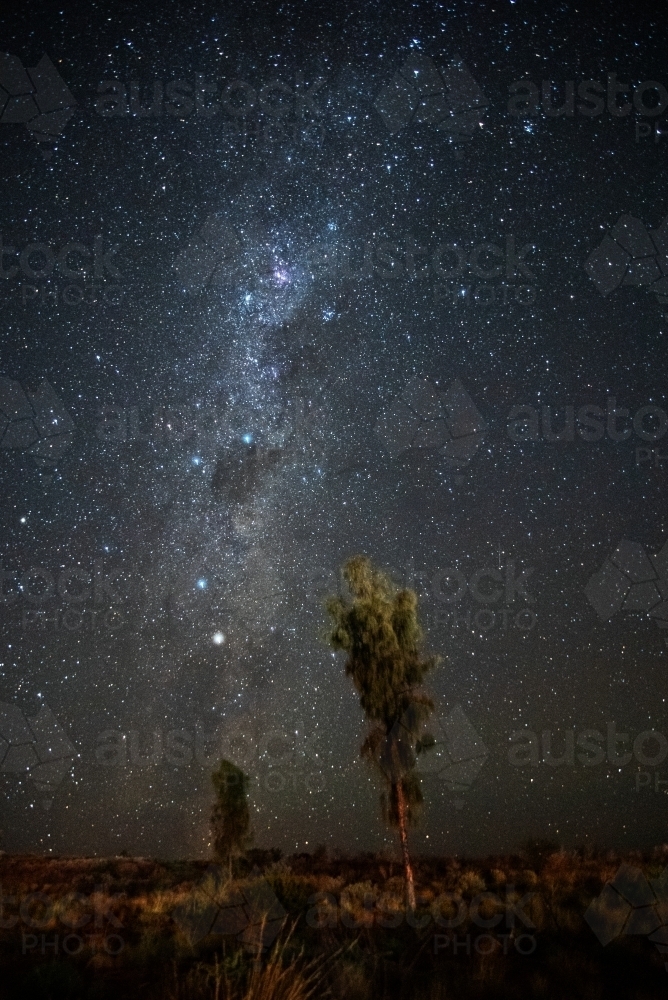 The Milky Way with two small desert trees in the foreground - Australian Stock Image