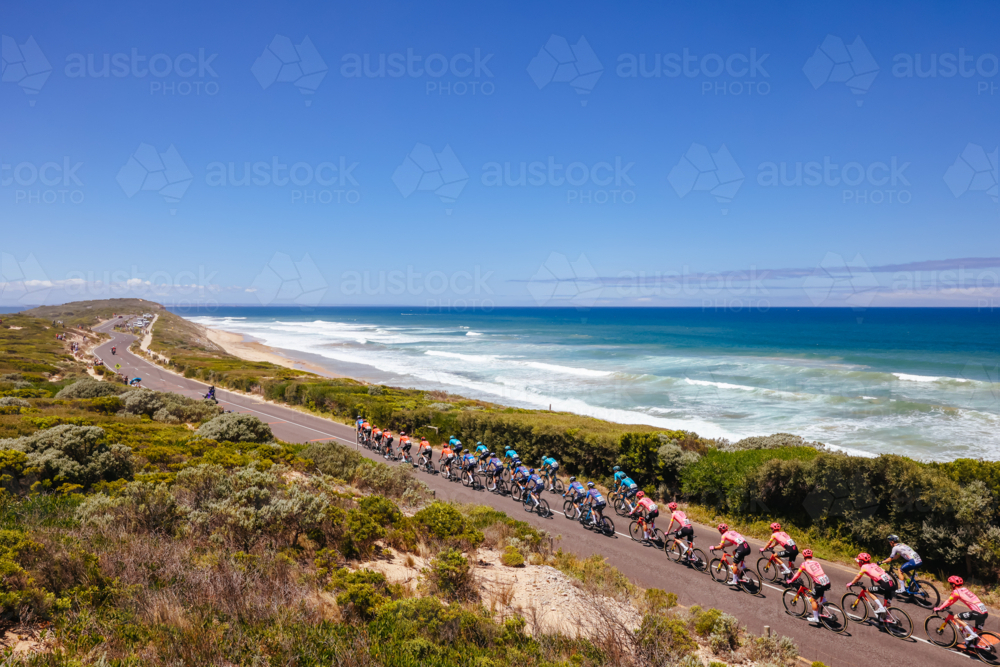 The peloton rides past 13th Beach during the 2024 Men's Elite Cadel Evans Great Ocean Road Race. - Australian Stock Image