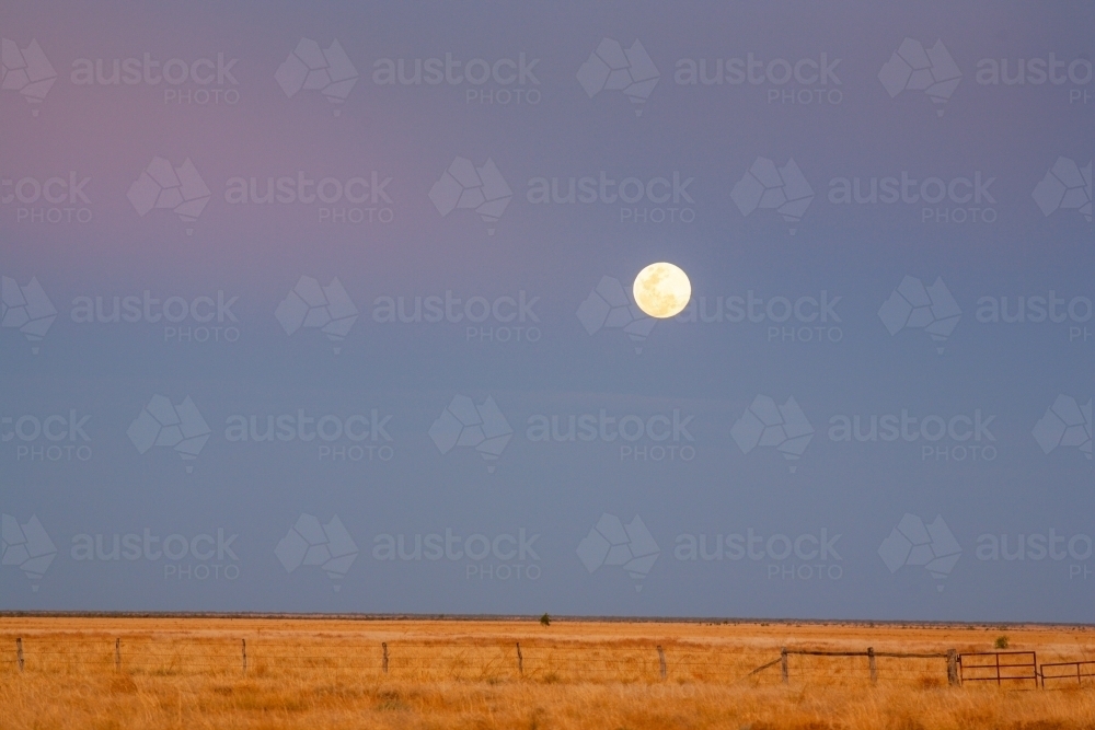 The rising moon over grass plains in savannah country in Queensland. - Australian Stock Image