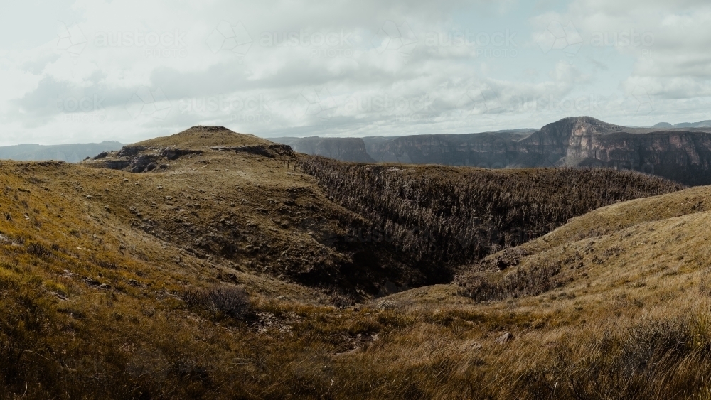 The summit of the Lockleys Pylon Walking Track - Australian Stock Image