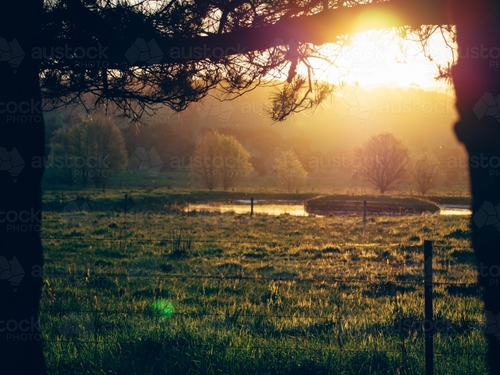 The sun setting over a dam on a farm - Australian Stock Image