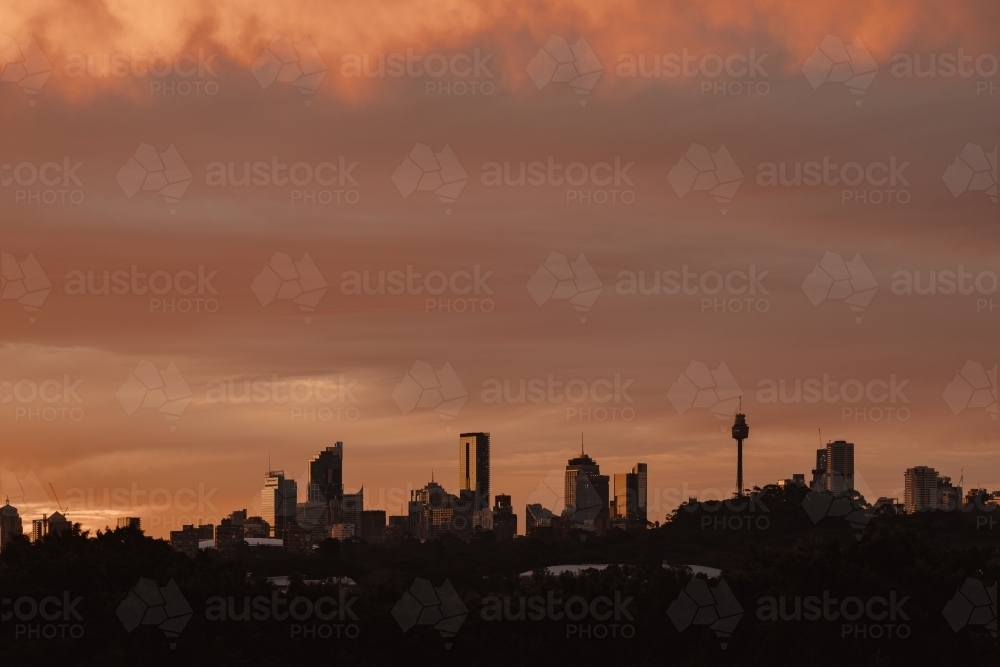 The Sydney city skyline silhouetted at sunset - Australian Stock Image