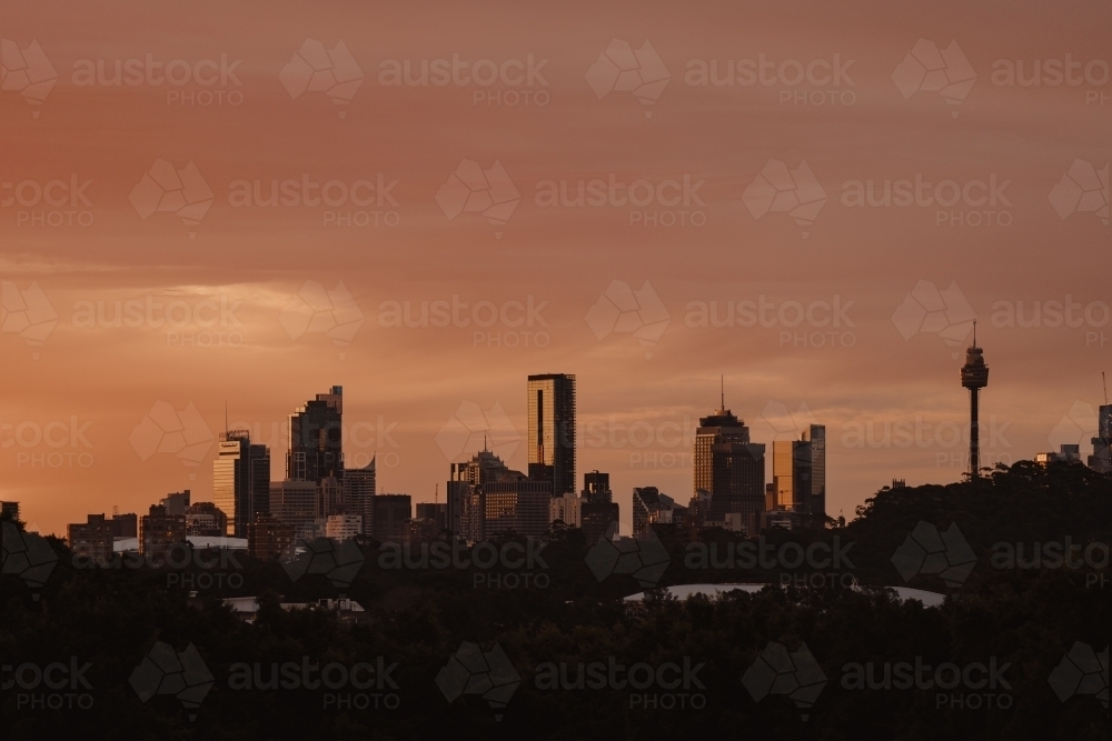 The Sydney city skyline silhouetted at sunset - Australian Stock Image