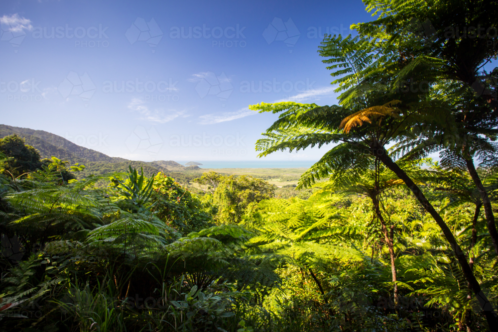 The view from Mount Alexandra lookout in the Daintree region towards the Great Barrier Reef and Cora - Australian Stock Image