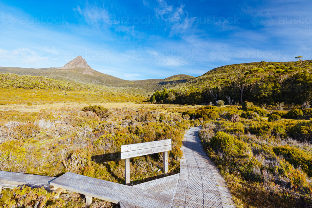 The wide landscape views early in the morning of Barn Bluff and alpine heath plants - Australian Stock Image