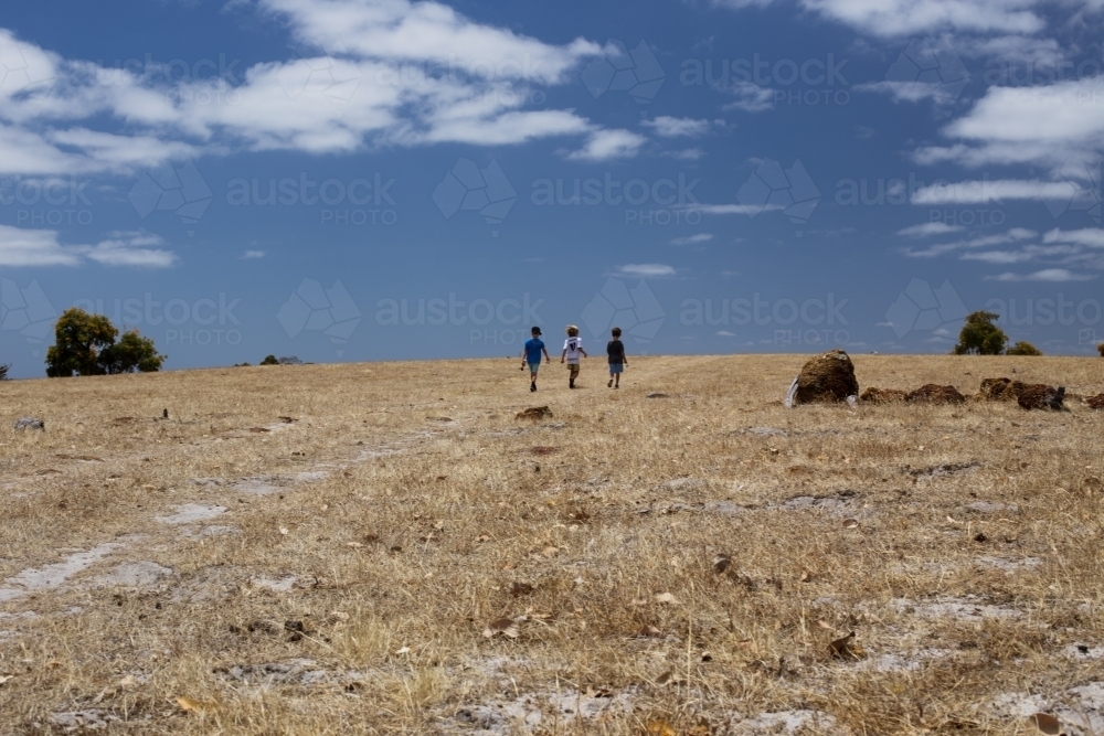 Three children on a nature walk in a open dry paddock - Australian Stock Image