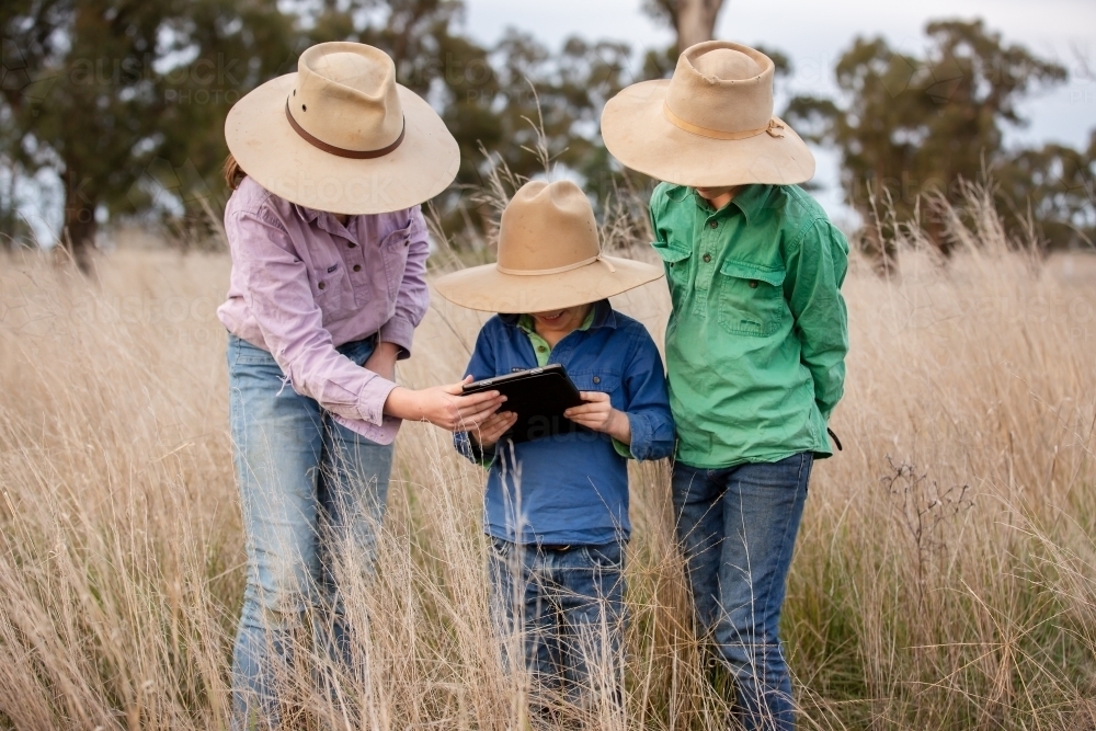 Three children using an ipad in the paddock on a farm - Australian Stock Image