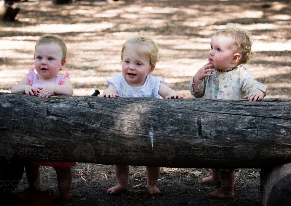 Three female toddlers enjoying bush camping and nature play - Australian Stock Image