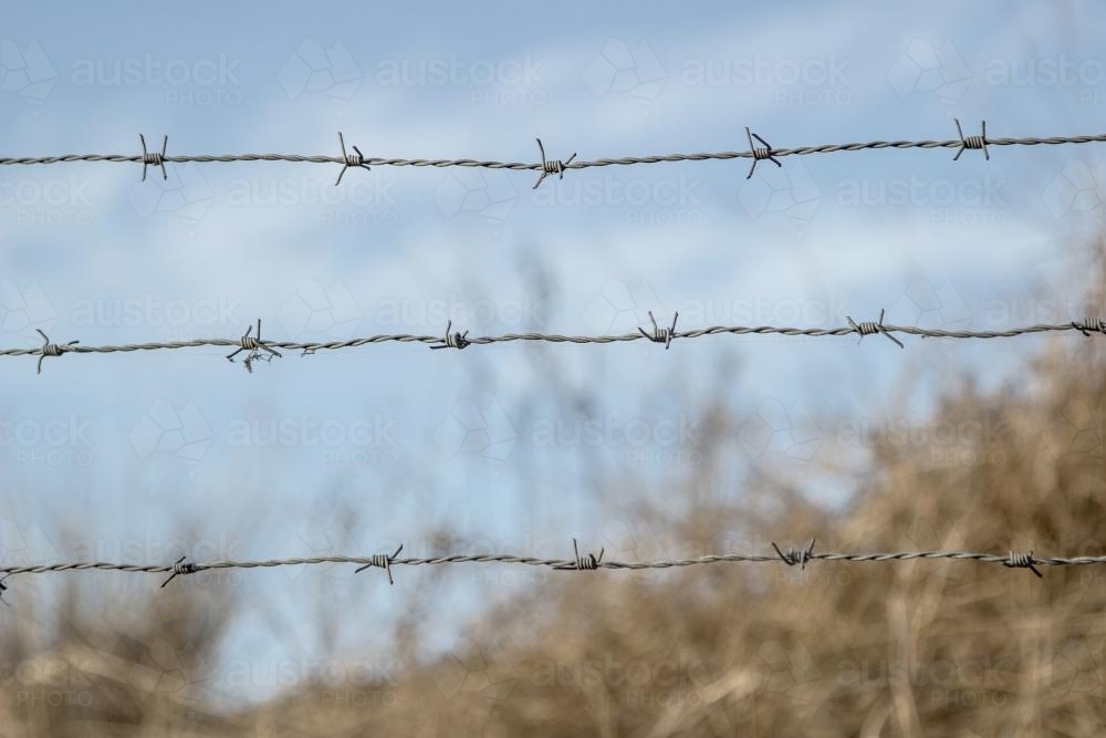 Three strands of barbed wire - Australian Stock Image