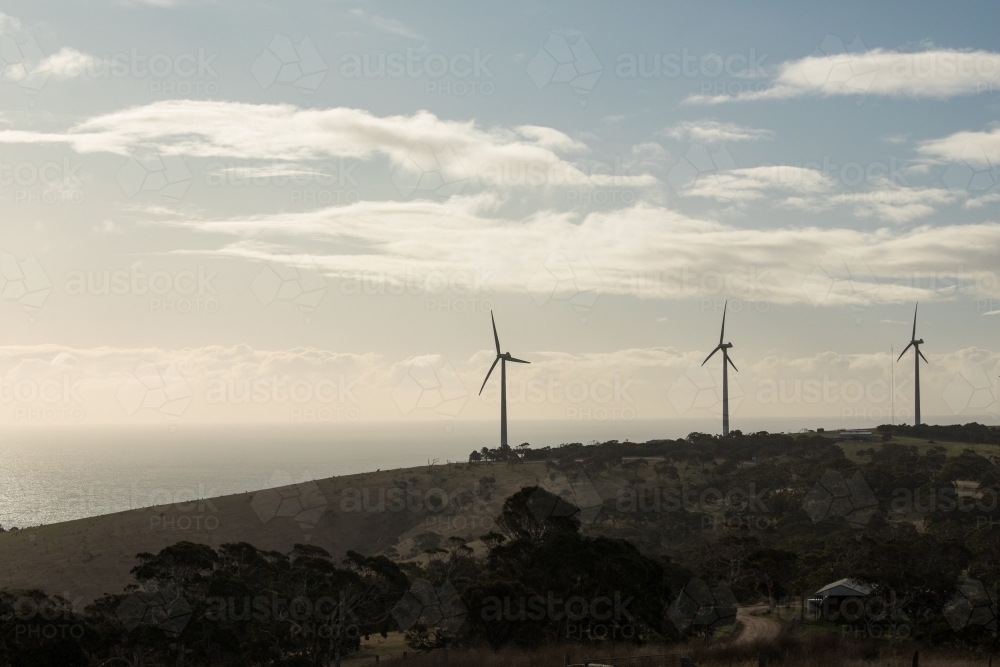 Three wind turbines on a hill facing the ocean for offshore wind - Australian Stock Image