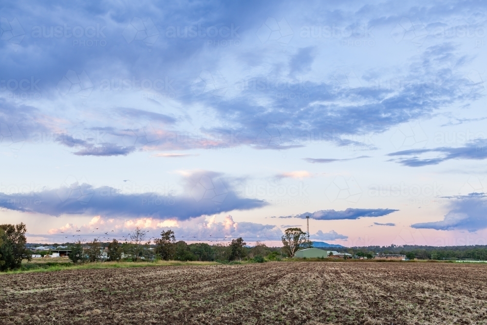 Tilled soil in farm paddock for agricultural use - Australian Stock Image