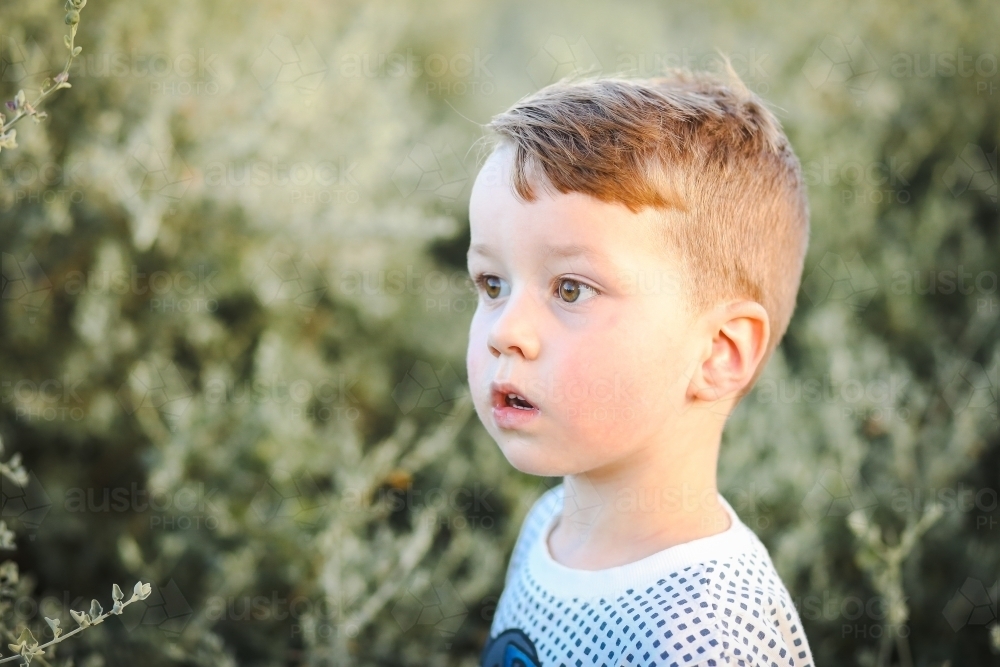 toddler boy with brown hair playing in nature - Australian Stock Image