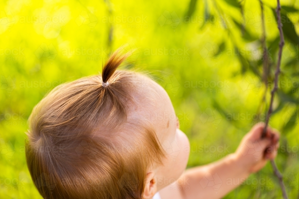 Toddler outside in nature with hair up in fountain hairstyle - Australian Stock Image