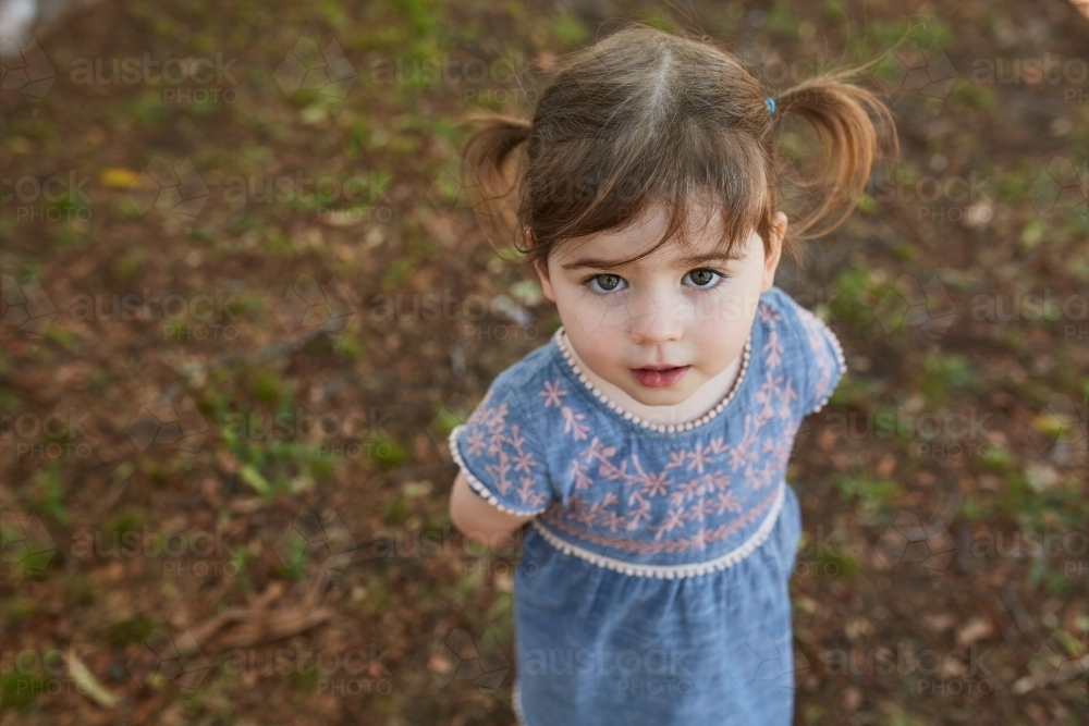 Toddler with pigtails standing outdoors looking up - Australian Stock Image
