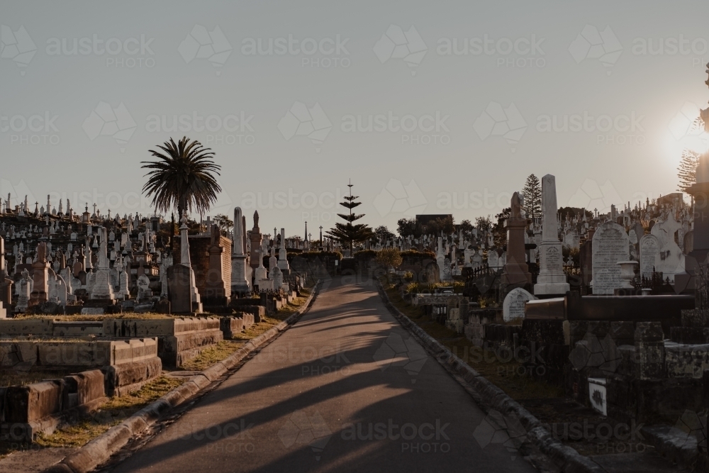 Tombstones either side of the road through Waverley Cemetery at sunset. - Australian Stock Image