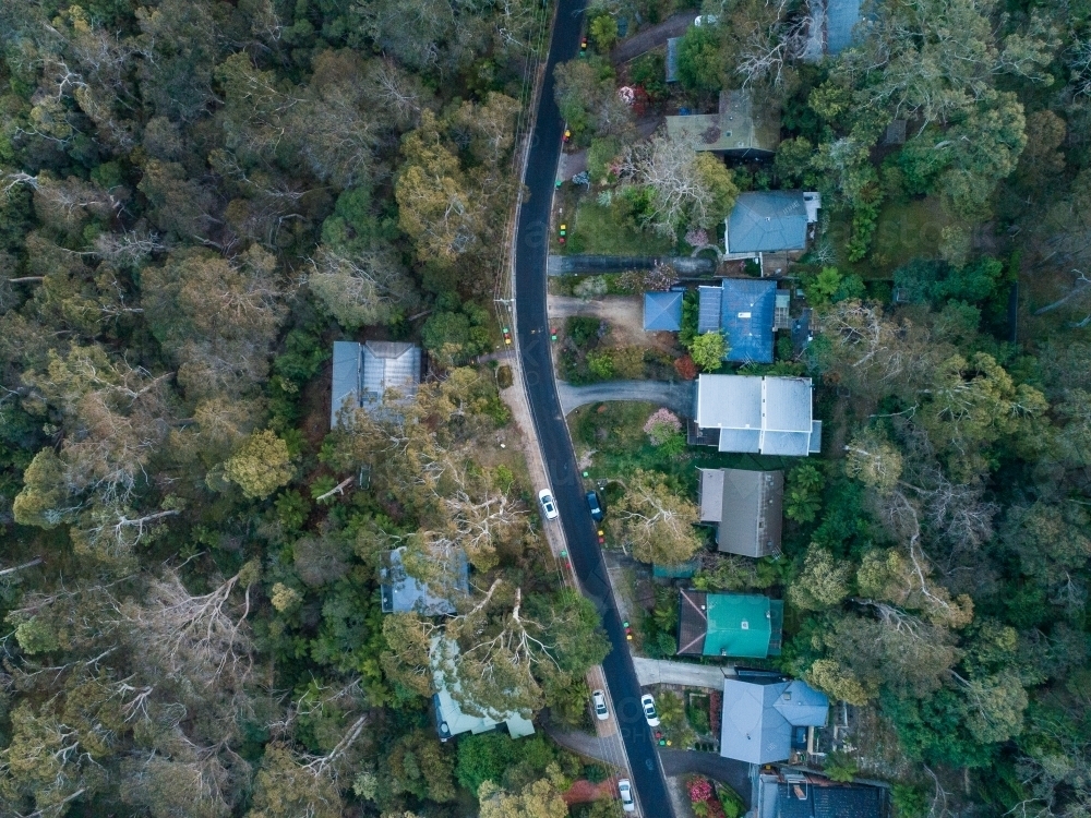 Top down overhead aerial view of homes surrounded by bushland along narrow street - Australian Stock Image