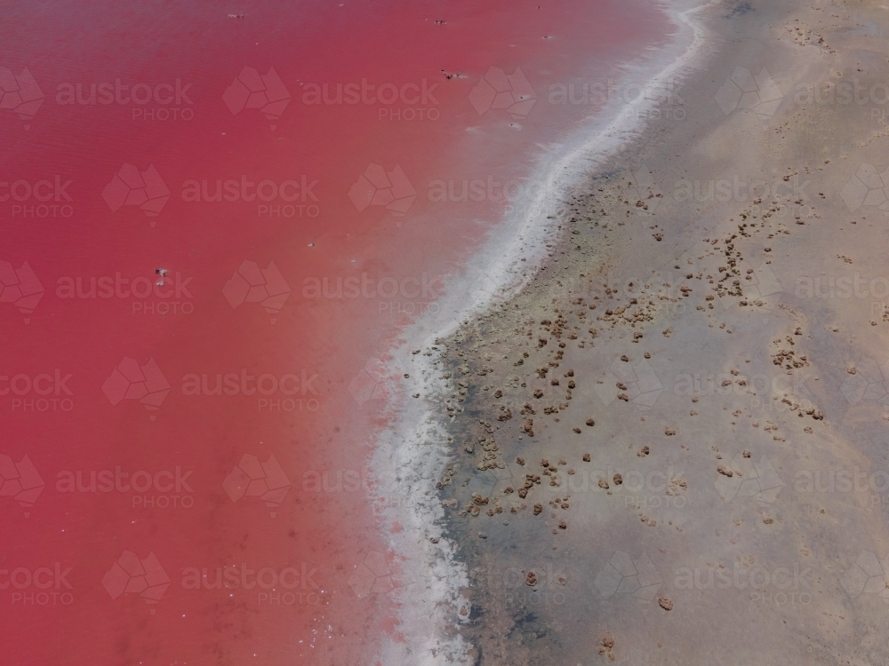 top shot of a pink lake with white salt at the shoreline - Australian Stock Image