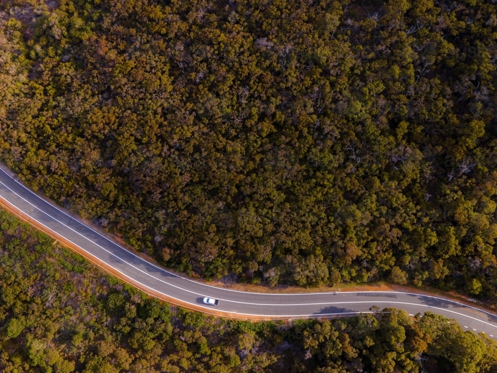 top shot of a white car on a long narrow road surrounded by trees and bushes on a sunny day - Australian Stock Image