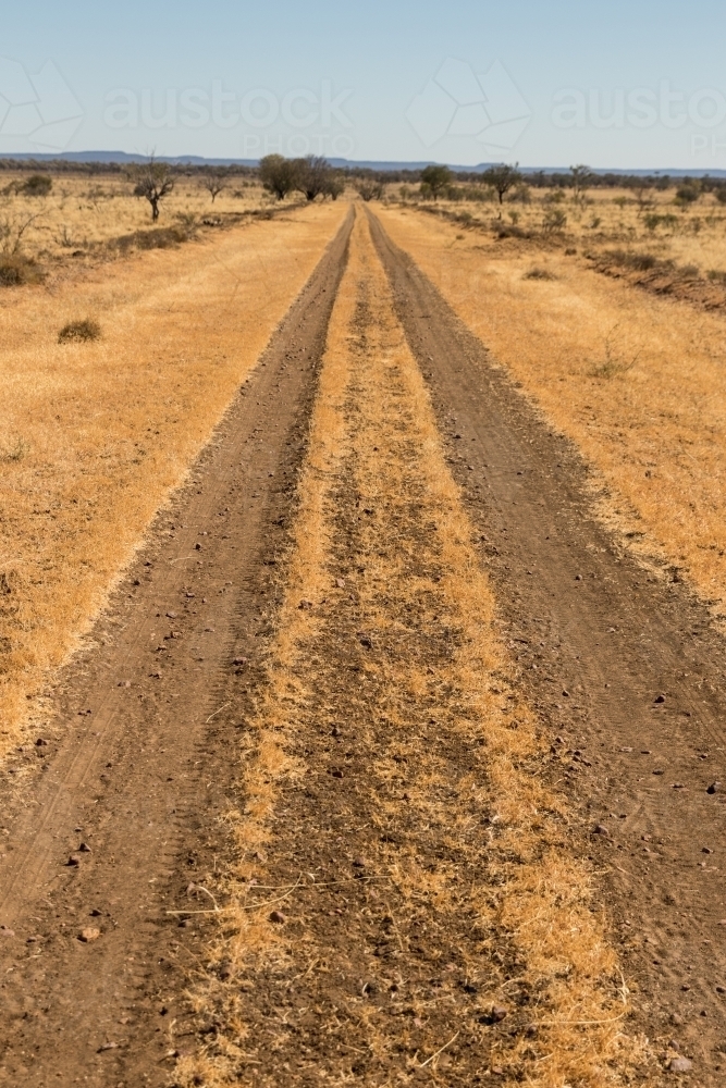 Track in a dirt road - Australian Stock Image