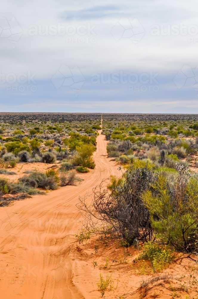 Track leading into the desert - Australian Stock Image