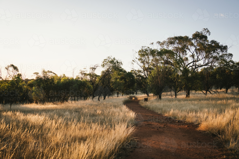 Track leading through York gum bushland on sunset in the Avon Valley of Western Australia - Australian Stock Image