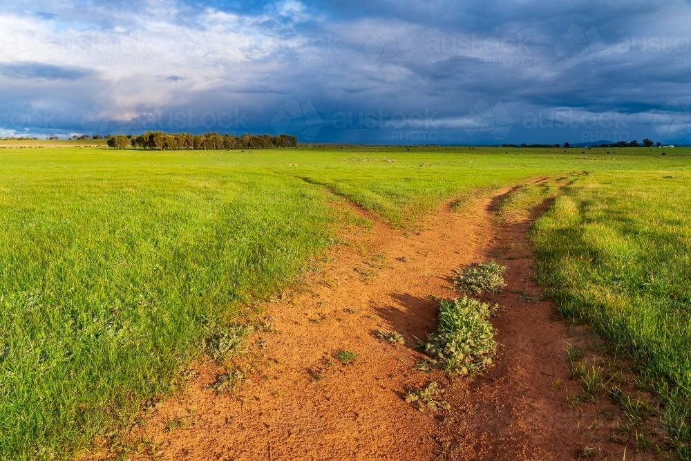 Tracks heading off into the distance through a lush green paddock under dark clouds - Australian Stock Image