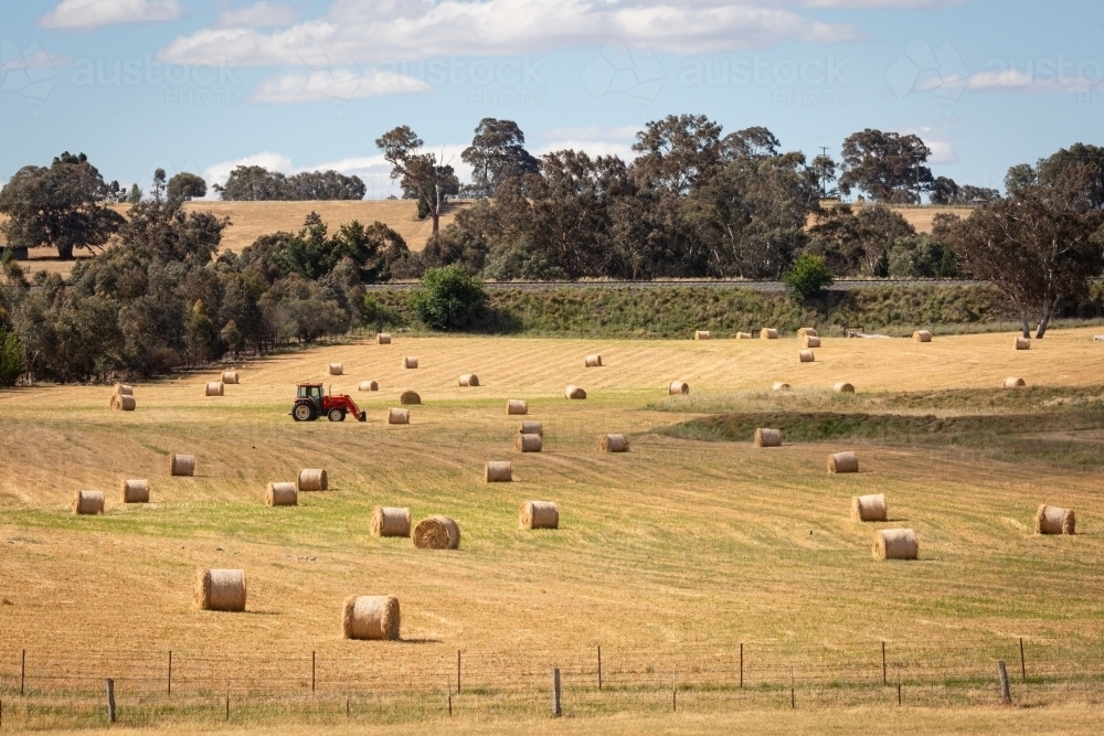 Tractor in a paddock about to pick up round bales of hay - Australian Stock Image