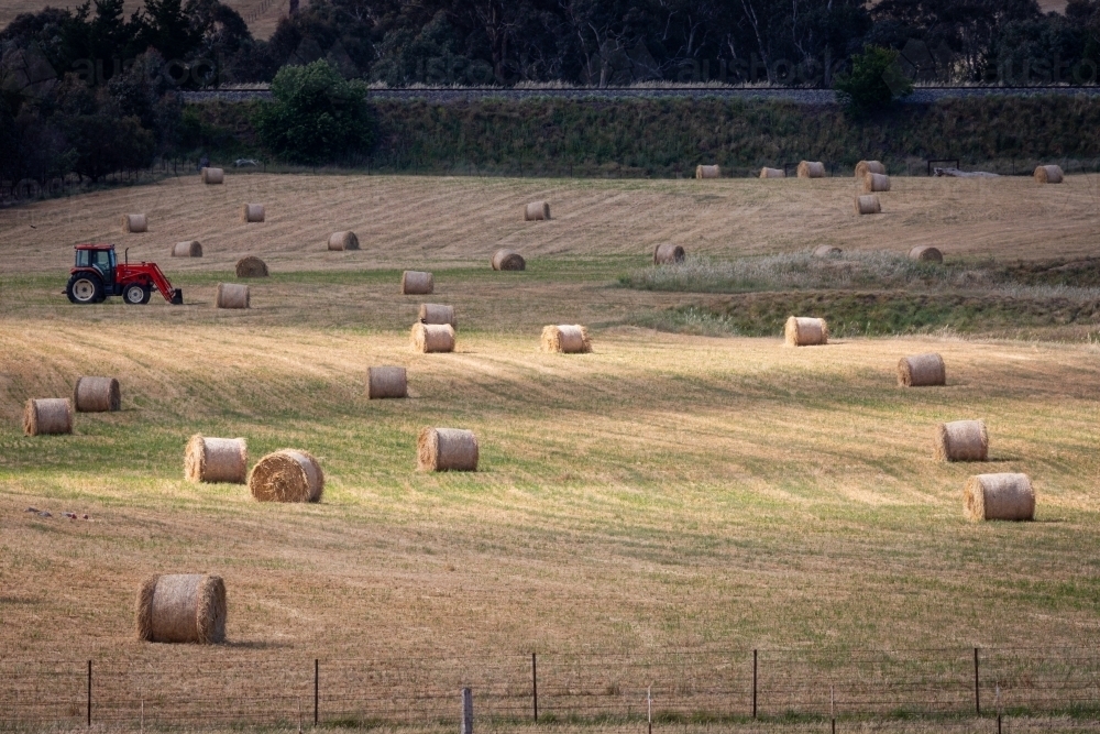 Tractor in a paddock about to pick up round bales of hay - Australian Stock Image