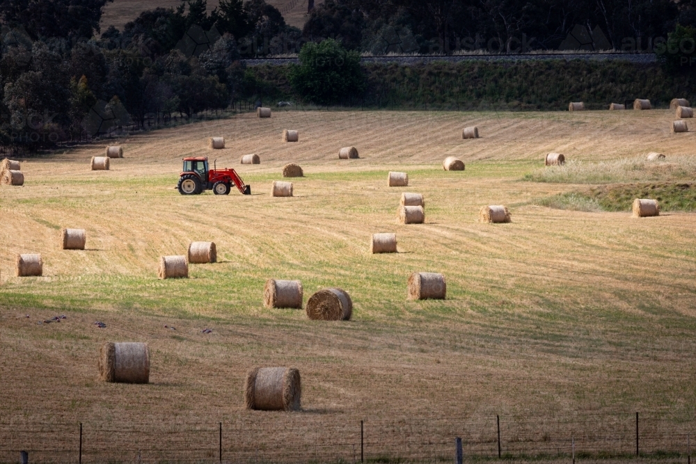 Tractor in a paddock about to pick up round bales of hay - Australian Stock Image