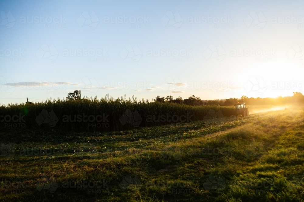 Tractor in farm crop paddock at sunset - Australian Stock Image