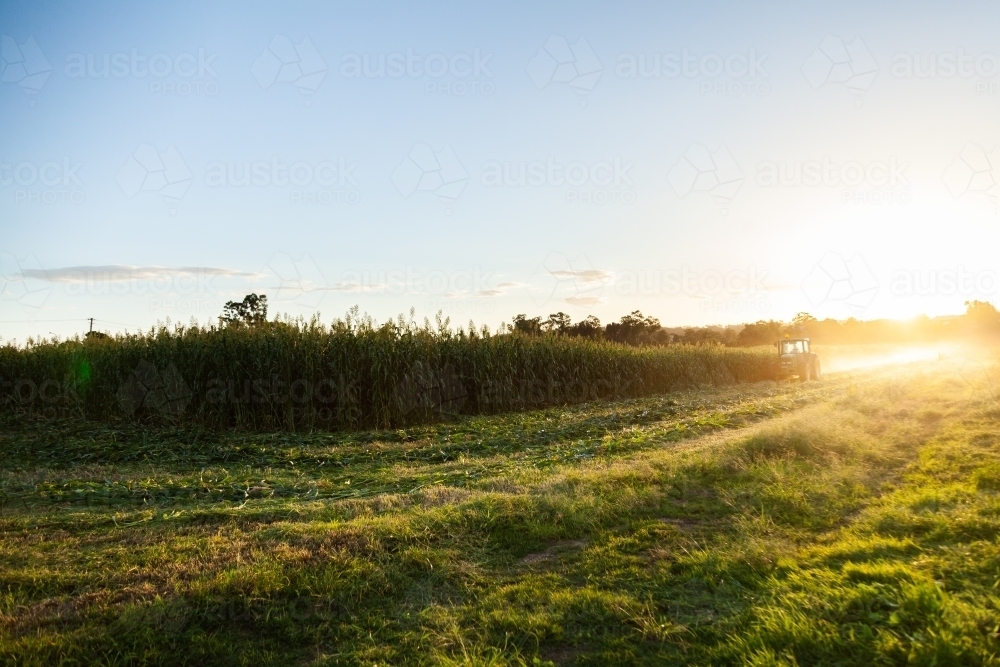 Tractor in farm crop paddock at sunset - Australian Stock Image