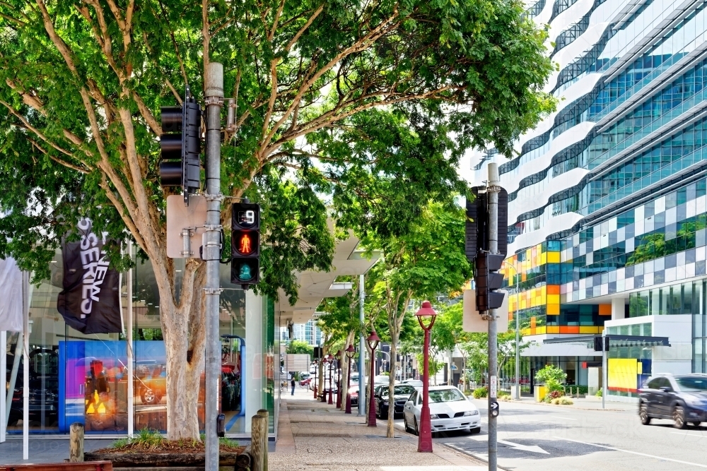 Traffic lights for pedestrians with cars driving or standing in the city from the side of the road - Australian Stock Image