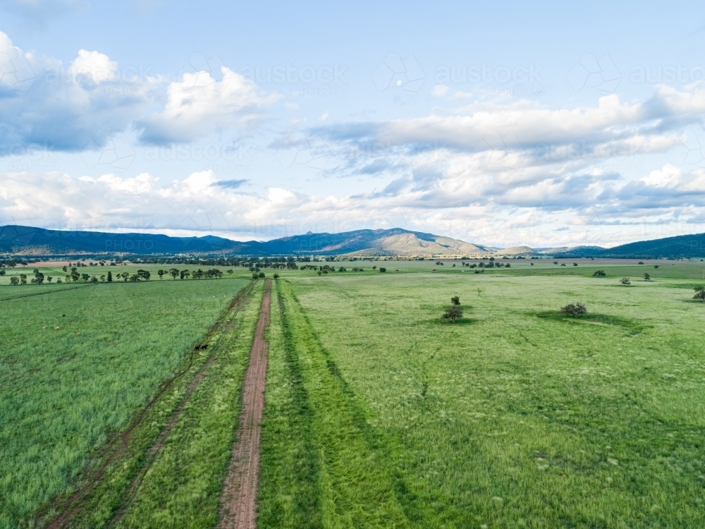 Trail through green farm paddocks - Australian Stock Image